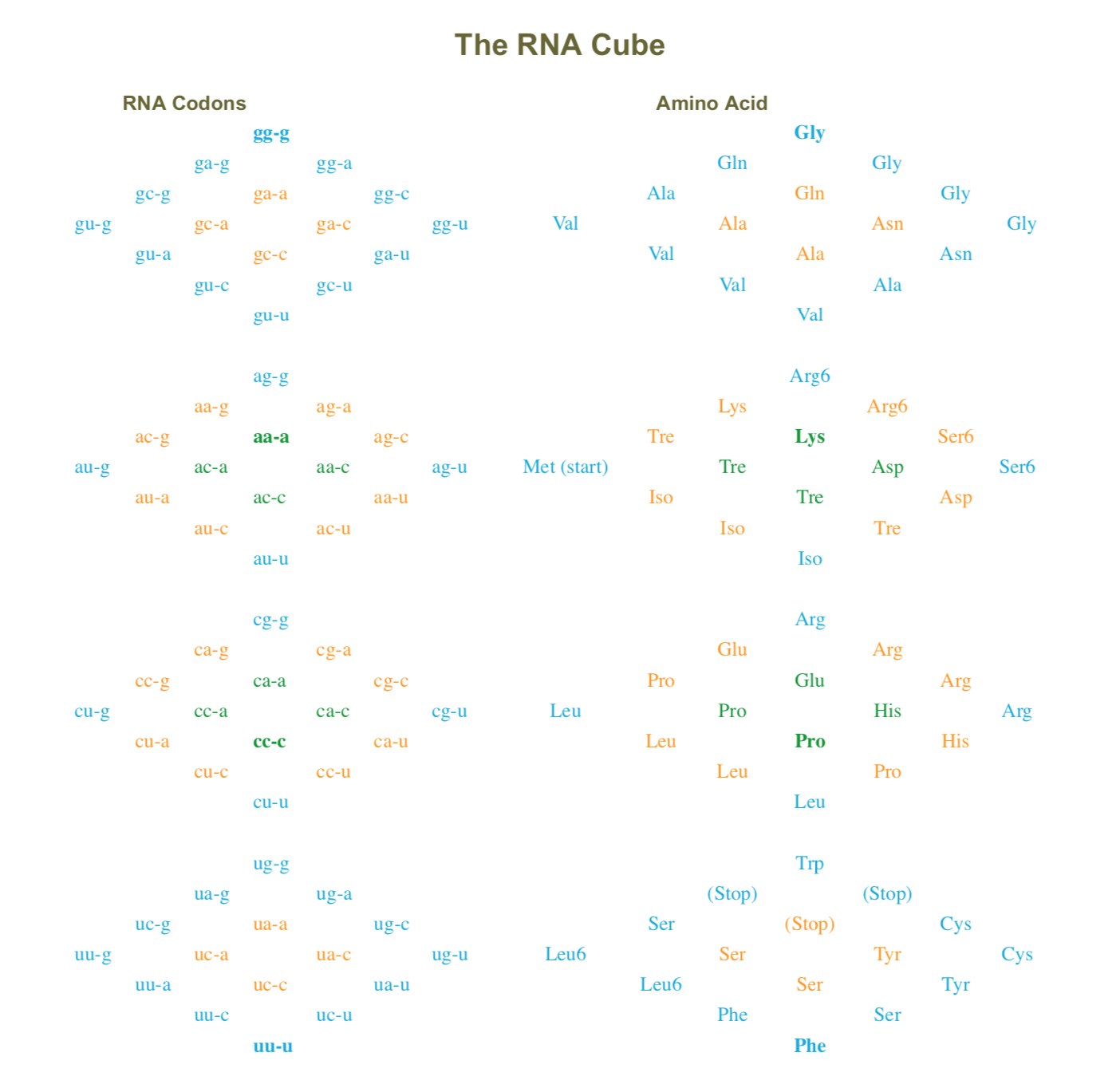 3D-view-of-the-genetic-code